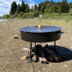 COOKING DISC